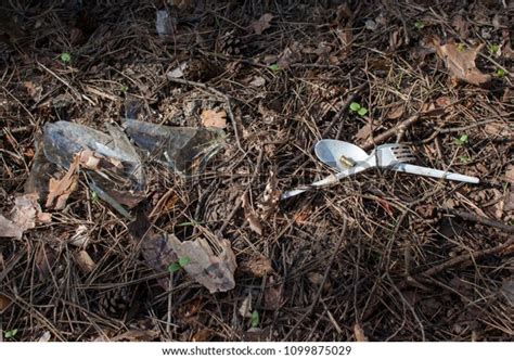 Garbage Pollution Forest Stock Photo 1099875029 | Shutterstock