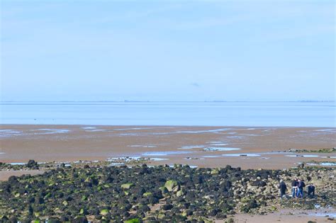 Heysham Beach (Half Moon Bay) - Discover Beach Fun and Beautiful Views – Go Guides