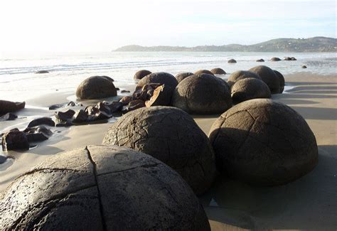 Formed 60 million years ago, The Moeraki Boulders are unusually large and spherical boulders in ...