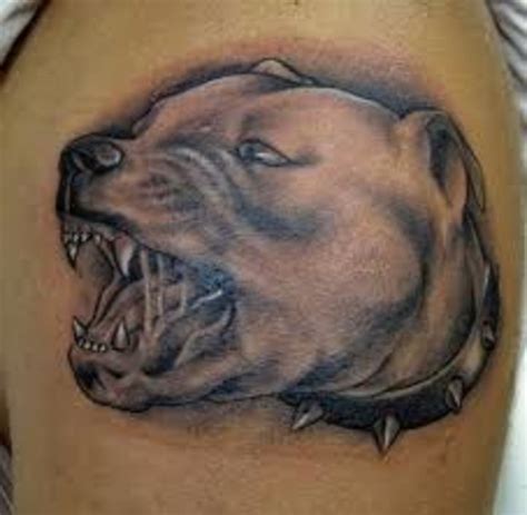 Pit Bull Tattoos And Meanings; Pit Bull Tattoo Designs And Ideas; Pit ...