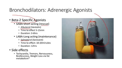 Pulmonary Pharmacology 2: Bronchodilators - YouTube