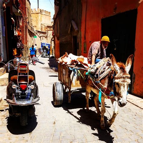 In the medina of Marrakech : r/travel