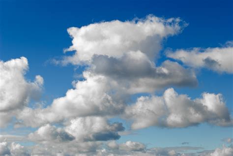 US Small, Medium Businesses Show Interest in the Cloud | ExecutiveBiz