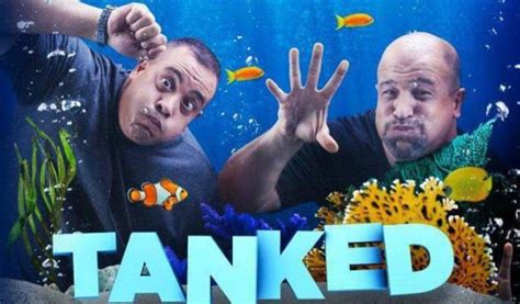 Tanked: Season 12 of Aquarium Series Coming to Animal Planet - canceled ...