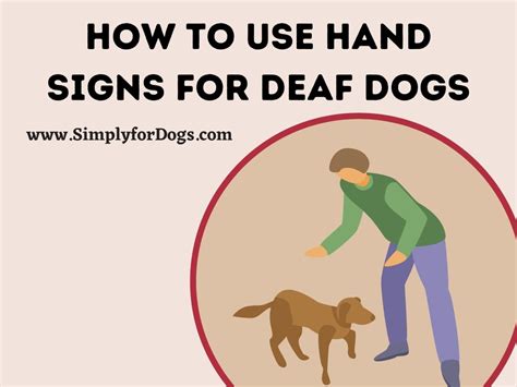 How to Use Hand Signs for Deaf Dogs - (Tips & Tricks) Simply For Dogs