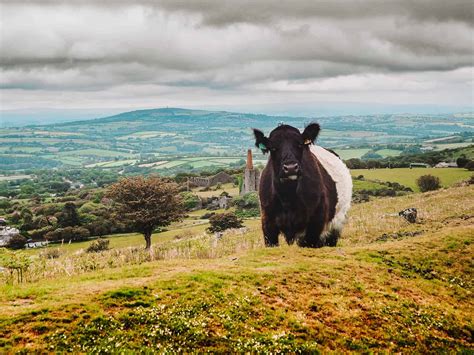 18+ Best Things To Do On Bodmin Moor (2024)!