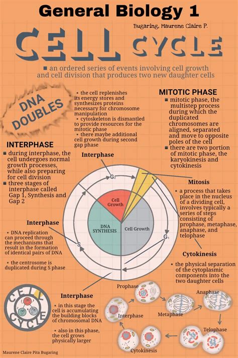 Cell Cycle Infographic | Cell cycle, Cell biology notes, Study flashcards