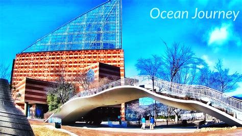 Visit the Tennessee Aquarium’s Ocean Journey | Spago Chattanooga