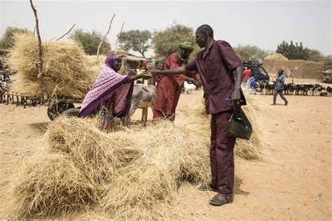 Action Against Desertification | Food and Agriculture Organization of the United Nations