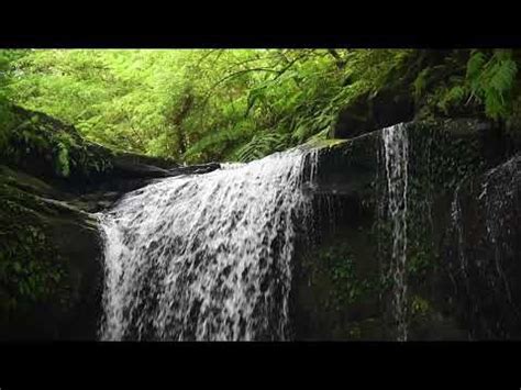 Relaxing Waterfall Sounds for Sleep, Study 8 Hours Water Sounds ASMR ...