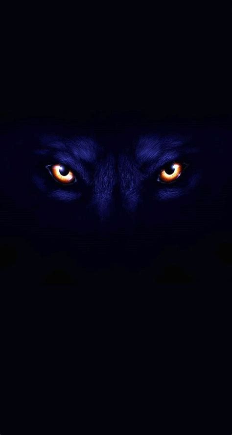 Dark Wolf Wallpapers iPhone - Wolf Background Images