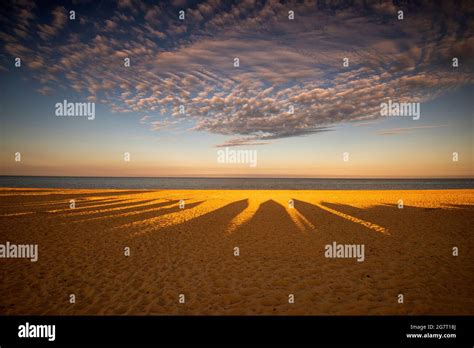 Sunset shadows of Beach Huts on the beach at Southwold in Suffolk ...