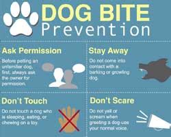 Dog Bite Prevention - Seattle Personal Injury Lawyers: Premier Law Group