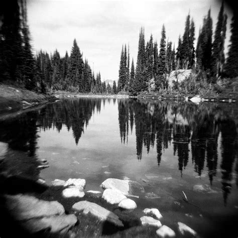 Forest Photo Black White Landscape Decor Holga Nature - Etsy Canada