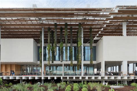 Herzog & de Meuron Celebrates Opening of Pérez Art Museum Miami | ArchDaily