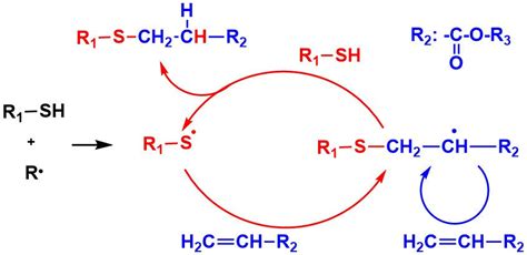 Reaction mechanism of thiol-acrylate system. | Download Scientific Diagram