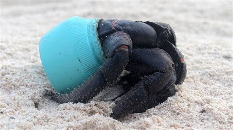 38m pieces of rubbish found washed up on remote island's beaches - ITV News