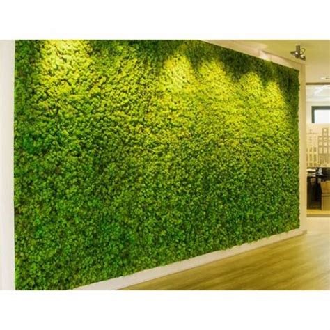 Vertical Artificial Green Wall, आर्टिफिशियल हरी दीवार, आर्टिफिशियल ...