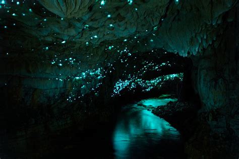 Glowworm Caves, New Zealand | Top Travel Destinations to Put on Your Bucket List | POPSUGAR ...