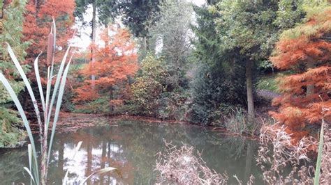 Lucy's Wednesday walks: Bodenham Arboretum