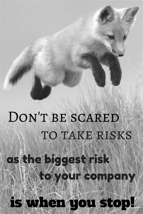 Quote about taking risks in business | Taking risks quotes, Take risks, Quotes