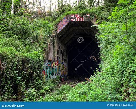 Abandoned Train Tunnel with Graffiti Stock Image - Image of bushes, humboldt: 75014909