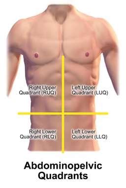 Left Upper Quadrant Pain | Health | Patient