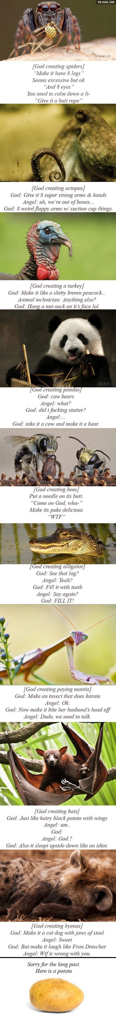 God creating animals - Funny | Funny pictures, Humor, Bones funny