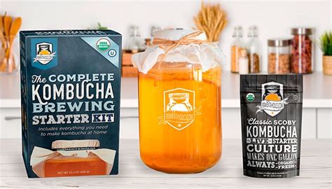 Fermentaholics Kombucha Kit: Make Your Own Organic Brewing