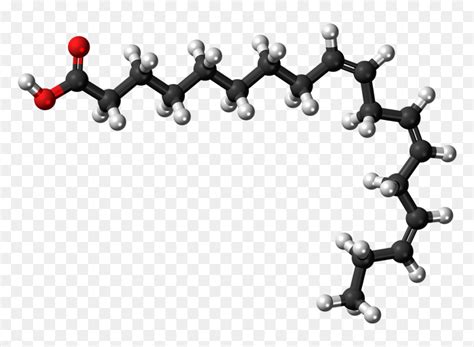 Linoleic Acid Structure 3d, HD Png Download - vhv