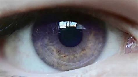 Slow motion natural purple eyes // Ojo violeta natural | Purple eyes, Violet eyes, Eye color