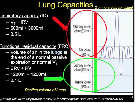 Inspiratory Reserve Volume Definition - cloudshareinfo