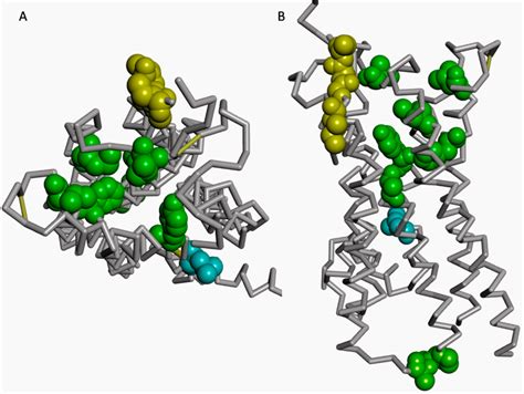 (A) Top and (B) side view of structure of 5-hydroxytryptamine receptor ...