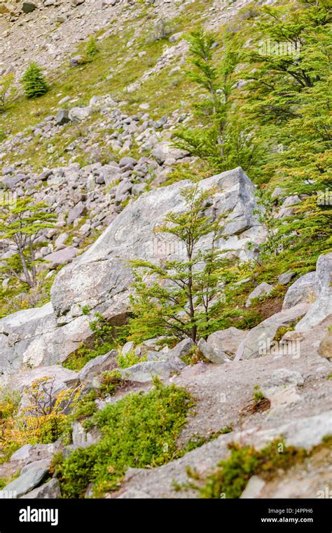 Patagonia landscape scene at Patagonia, Argentina Stock Photo - Alamy