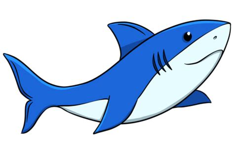 Dessin Animé Bleu Requin PNG , Requin, Dessin Animé, Petit Requin Fichier PNG et PSD pour le ...