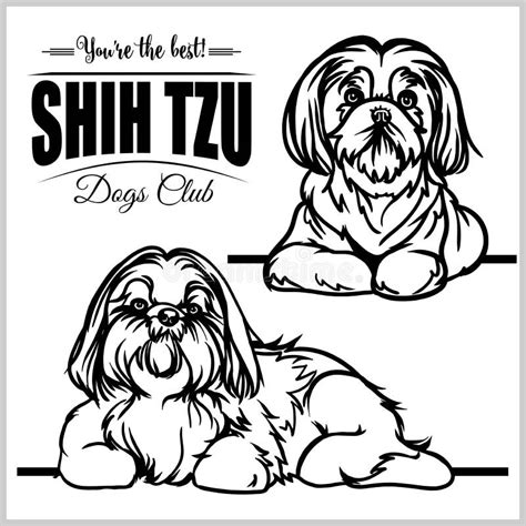 Shih Tzu. Black and White Graphic Drawing of a Dog Stock Vector - Illustration of looking, icon ...