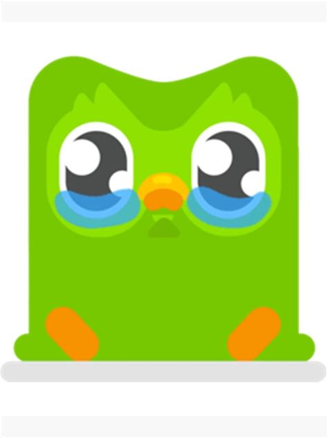 "Crying Duolingo owl " Poster by DLGstore8 | Redbubble