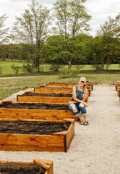 DIY Rasied Garden Beds DIY Raised Garden Beds DIY