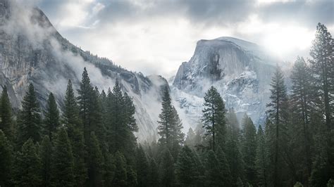 Wallpaper Yosemite, 5k, 4k wallpaper, 8k, forest, OSX, apple, mountains ...