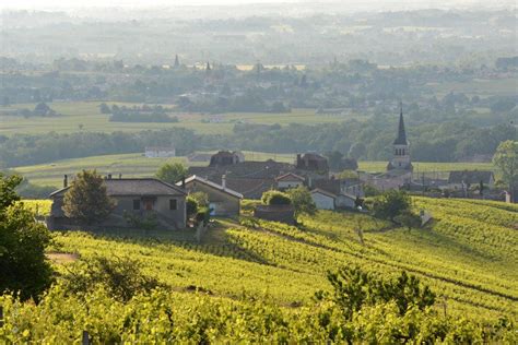 How Beaujolais Cru Is Remaking The Reputation Of An Entire Wine Region