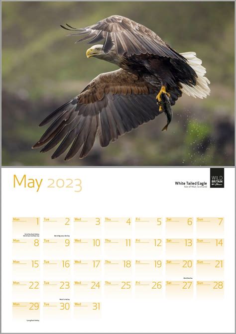 By Alison 2023 Calendar Wild Britain British Wildlife Calendar - Etsy UK