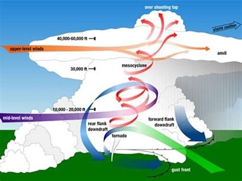 The Noodleman Group: Tornado Alert 6,982