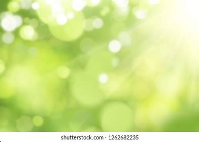 1,436,560 Green Bokeh Stock Photos, Images & Photography | Shutterstock