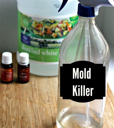 How to Clean Black Mold from Bathroom Sealant - 101CleaningTips.net