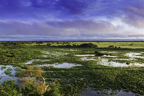 Pantanal Conservation Area: Sanctuary for Wildlife and Wetlands | LAC Geo