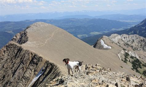 Montana Mountains: Bridger Range - AllTrips