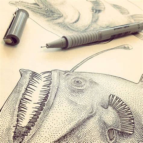 The 50thiest Deep Sea Fish. | Fish illustration, Sea life art, Sea drawing