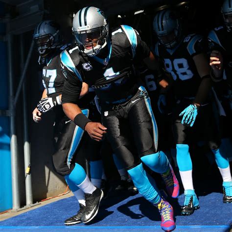 Carolina Panthers Are Set to Embark on New Era of Football in 2014 ...