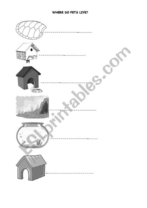 Where do pets live? - ESL worksheet by vanepsim