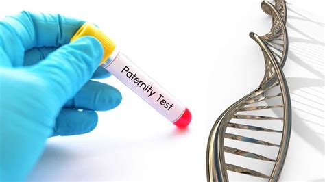 All you need to know about at-home DNA Testing Kits for Paternity ...